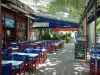Arles - Boulevard des Lices avec ses terrasses de cafés et ses platanes