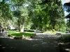 Arles - Jardin d'Été agrémenté de fleurs et d'arbres