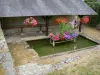 Arthel - Lavanderia de flores (flores)