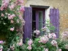 Asnieres-сюр-Vègre - Окно дома с фиолетовыми ставнями и вьющимися растениями в цвету