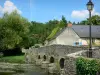 Asnieres-сюр-Vègre - Старый романский мост через реку Вегре, фонарные столбы, зелень и дома средневековой деревни