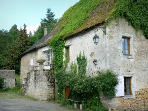 Asnières-sur-Vègre - Casa facciata ornata da piante rampicanti