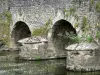 Asnières-sur-Vègre - Oude Brug over de rivier de Romaanse vegre