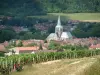 Guida dell'Aube - Les Riceys - Roses (rose rosse) e le viti dei vigneti, boschi, chiese e case del villaggio
