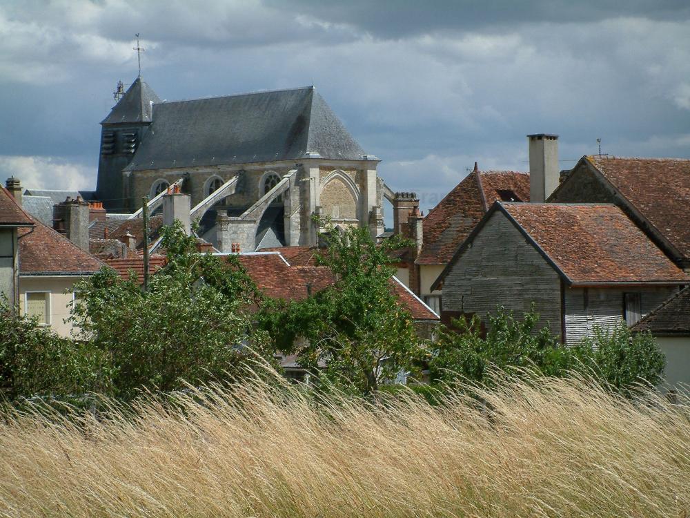 Guide de l'Aube - Chaource - Herbes sauvages, arbres, maisons du village, église Saint-Jean-Baptiste et ciel nuageux