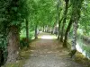 Auberive - Promenade de l'Entre deux Eaux, ombragée d'arbres