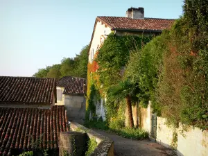 Aubeterre-сюр-Dronne - Аллея облицована домами