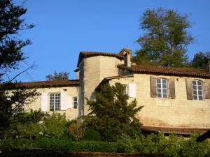 Aubeterre-sur-Dronne - Maison et arbres