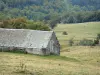 Aubrac in Aveyron - Stone schuur, omringd door weilanden, bosrand