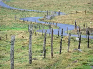 Aubrac Aveyronnais - Petite route de campagne bordée de vieilles clôtures de pâturages