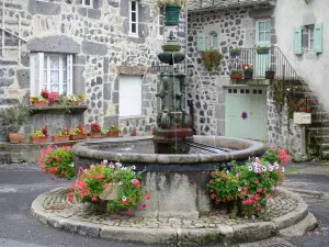 Aubrac Aveyronnais - Fontaine fleurie de Laguiole