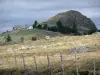 Aubrac Lozérien - Paysage de pâturages et de pierres avec un ciel orageux