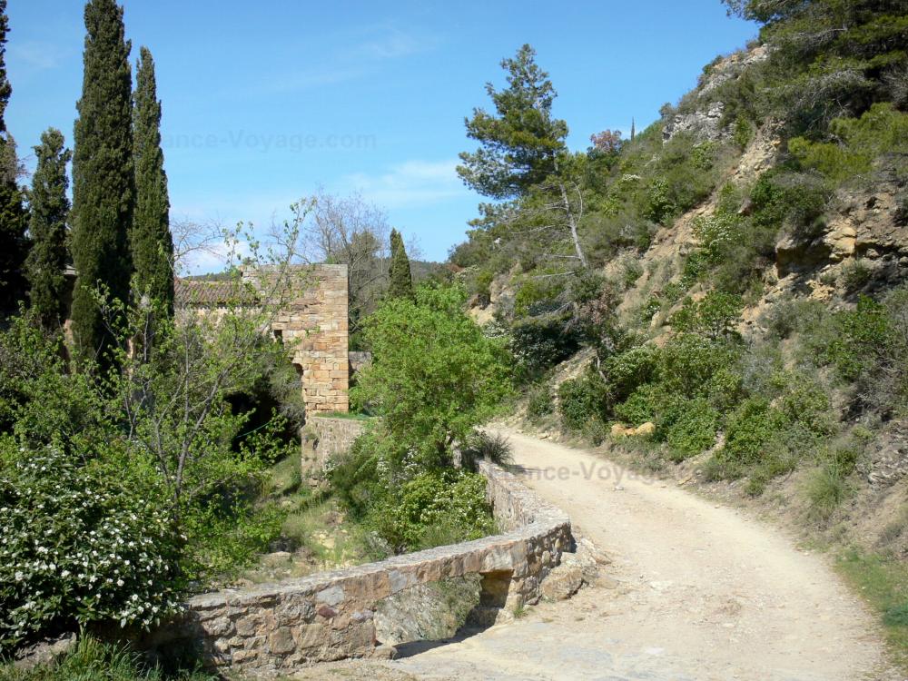 Guide de l'Aude - Abbaye de Fontfroide - Chemin bordé de végétation