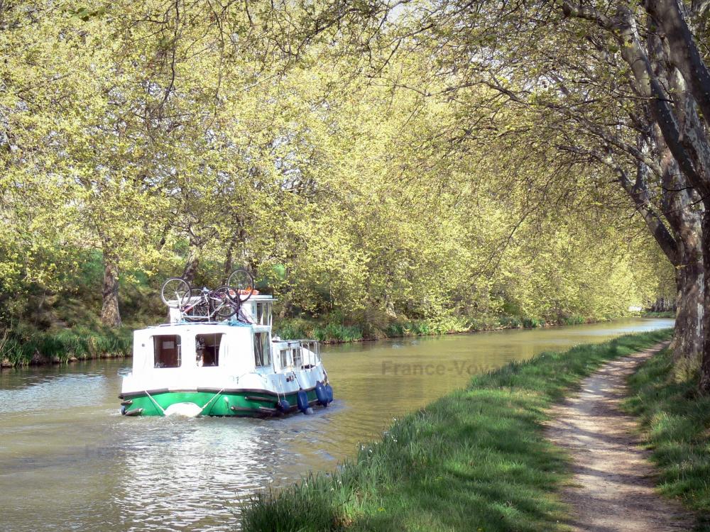 Guide de l'Aude - Paysages de l'Aude - Canal du Midi : chemin de halage ombragé de platanes et bateau naviguant sur la voie d'eau