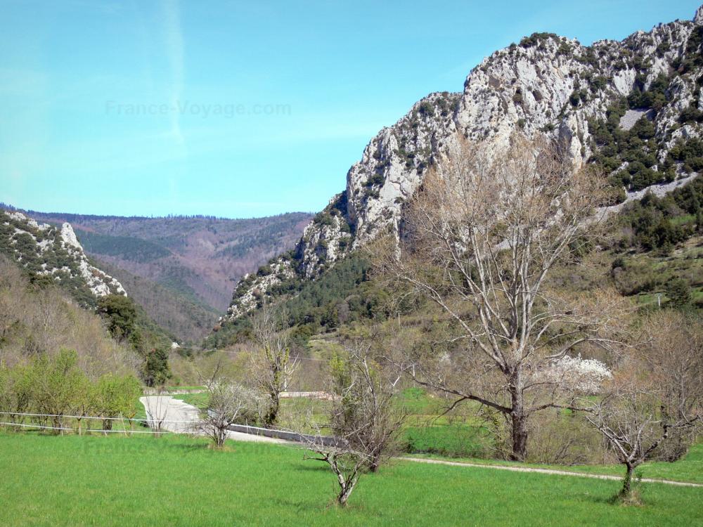 Guide de l'Aude - Paysages de l'Aude - Escarpement rocheux, forêt et prairies plantées d'arbres