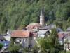 Aulus-les-Bains - Clocher de l'église, maisons du village (station thermale) et arbres ; dans le Parc Naturel Régional des Pyrénées Ariégeoises, dans la vallée du Garbet