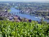 Der Aussichtspunkt des Hangs Saint-Jacques - Führer für Tourismus, Urlaub & Wochenende in der Yonne