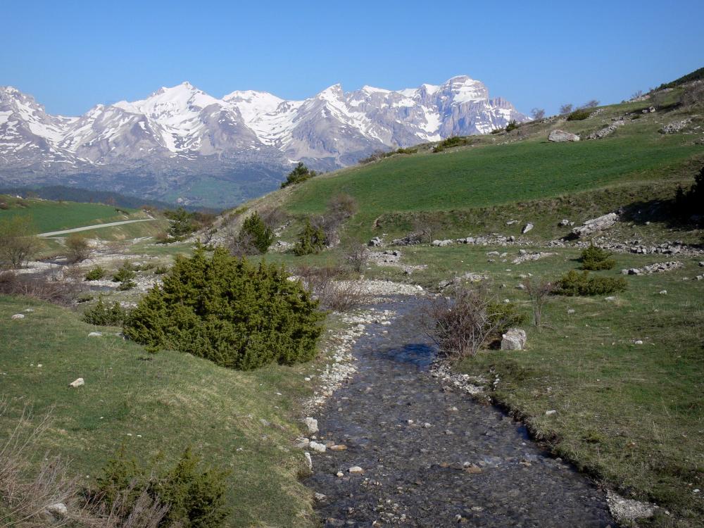 Guide d'Auvergne-Rhône-Alpes - Paysages des Hautes-Alpes - Ruisseau bordé de prairies et d'arbustes, montagnes aux cimes enneigées en arrière-plan