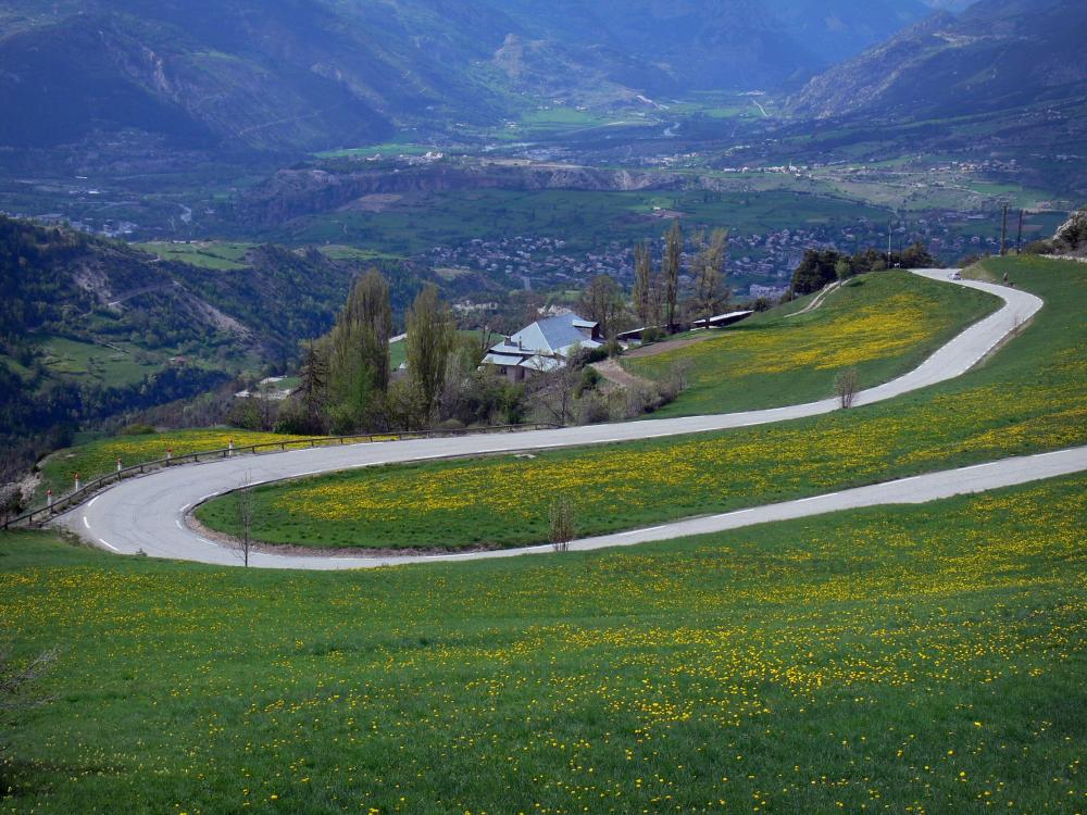 Guide d'Auvergne-Rhône-Alpes - Paysages des Hautes-Alpes - Route en lacet bordée de prairies en fleurs avec vue sur la ville de Guillestre et la place forte de Mont-Dauphin
