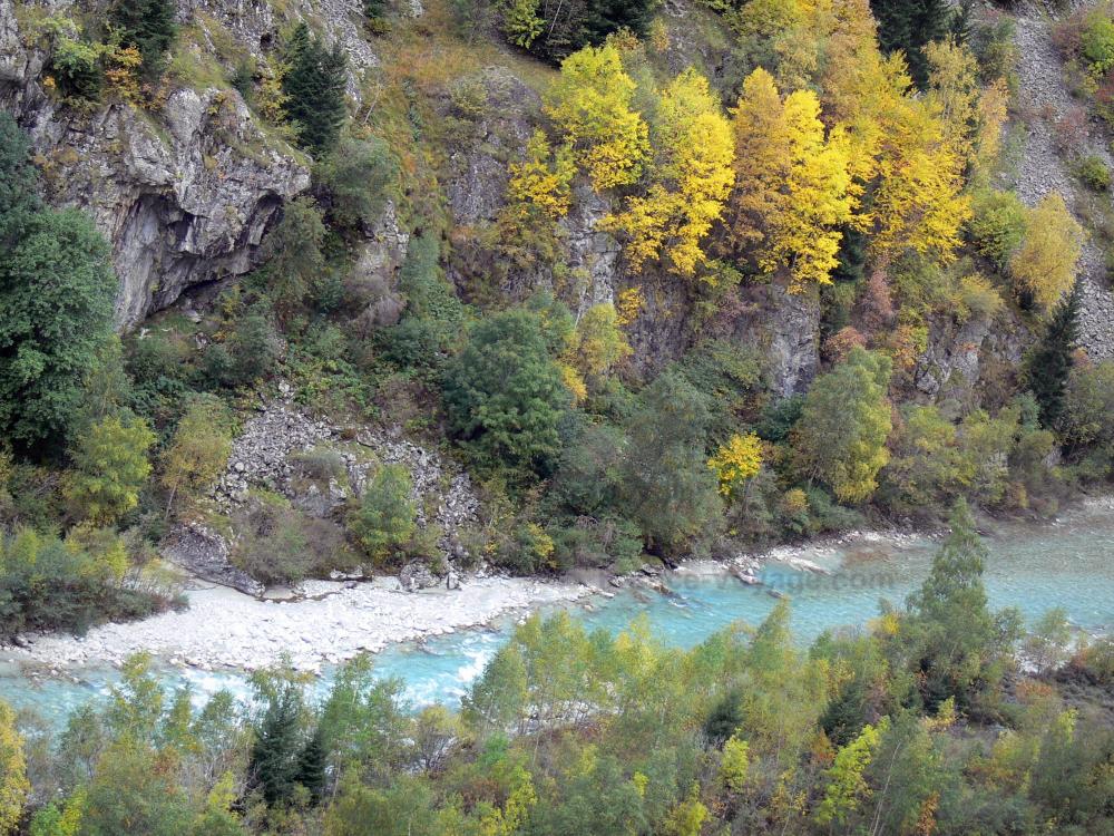 Guide d'Auvergne-Rhône-Alpes - Parc National des Écrins - Oisans - Massif des Écrins - Vallée du Vénéon : torrent du Vénéon bordé d'arbres aux couleurs de l'automne