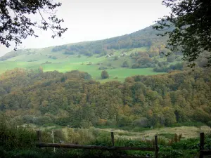 Auvergne Volcanic Regional Nature Park - Trees and meadows