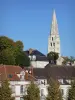 Auxerre - Torre Saint-Jean, antiguo campanario de la abadía de Saint-Germain y casas rodeadas de árboles