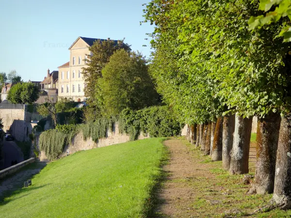 Avallon - Führer für Tourismus, Urlaub & Wochenende in der Yonne