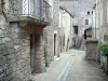 Guía de Aveyron - Sainte-Eulalie-de-Cernon - Calle bordeada de casas