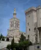 Avignon - Palais des Papes et cathédrale Notre-Dame-des-Doms