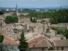 Avignon - De l'esplanade du Rocher des Doms, vue sur les toits des maisons de la ville