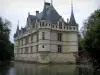 Azay-le-Rideauの城 - ルネッサンス城、川（インドレ）、公園の木々