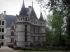 Azay-le-Rideauの城 - ルネッサンスの城と木々
