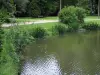 Azay-le-Rideauの城 - 城公園：川（インドール）、水のほとりに花、低木、道、芝生、ベンチ、木々