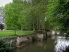 Azay-le-Rideauの城 - 城公園：川（インドール）、木々と芝生