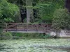 Azay-le-Rideauの城 - キャッスルパーク：睡蓮、歩道橋、低木と木々と川（インドレ）