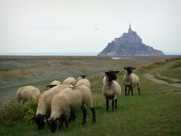 De baai Mont-Saint-Michel - Gids voor toerisme, vakantie & weekend in de Manche