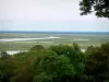 Baai van de Somme - Bomen op de voorgrond met uitzicht op de baai