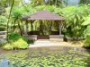 Balata Garden - Carbet à beira do lago com peixes e palmeiras do jardim botânico; nas alturas de Fort-de-France