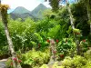 Balata Garden - Jardim botânico e flora tropical com vista para os picos de Carbet