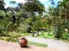 Balata Garden - Vista do jardim tropical do terraço da casa crioula