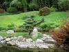 Bambouseraie de Prafrance - Bambouseraie d'Anduze (sur la commune de Générargues), jardin exotique : vallon du Dragon (jardin zen à la japonaise)