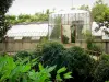 Bambouseraie de Prafrance - Bambouseraie d'Anduze (sur la commune de Générargues), jardin exotique : serres Mazel