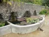 Bambouseraie de Prafrance - Bambouseraie d'Anduze (sur la commune de Générargues), jardin exotique : petit bassin avec des nénuphars et des lentilles d'eau