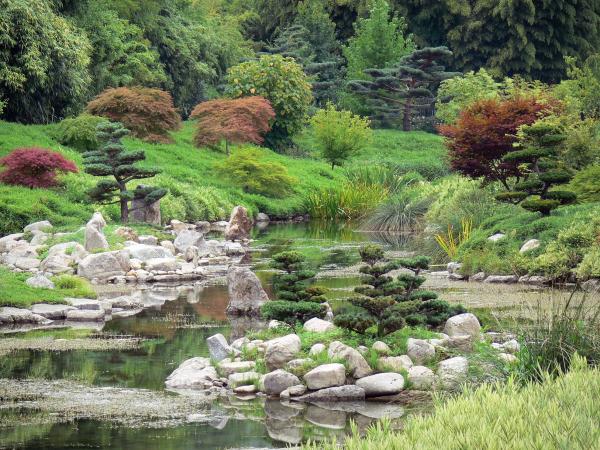 bambusgarten der prafrance fa 1 4 hrer r tourismus urlaub wochenenden im gard nordhorn mittagstisch bambusgarten der prafrance fa 1 4 hrer r tourismus urlaub wochenenden im gard nordhorn mittagstisch