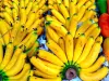 De bananen van Guadeloupe en Martinique - Gids voor gastronomie, vrijetijdsbesteding & weekend in de Overzeese Departementen