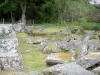 Bandeja Millevaches - Parque Natural Regional de Millevaches em Limousin: restos galo-romanos de carros (complexo funerário) em um cenário verde