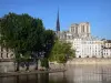 Banks of the Seine river - Quai de Bourbon at the forefront of Île Saint-Louis in the foreground with a view of the spike and the towers of the Notre-Dame cathedral and the buildings of Île de la Cité