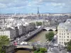 Banks of the Seine river - View of the Seine river, Parisian buildings and Eiffel tower from the heights of the Notre-Dame cathedral