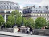 Banks of the Seine river - Walk on the Pont Neuf bridge