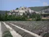 Banon - Alta torre de la iglesia y las casas de pueblo medieval, árboles y campos de lavanda